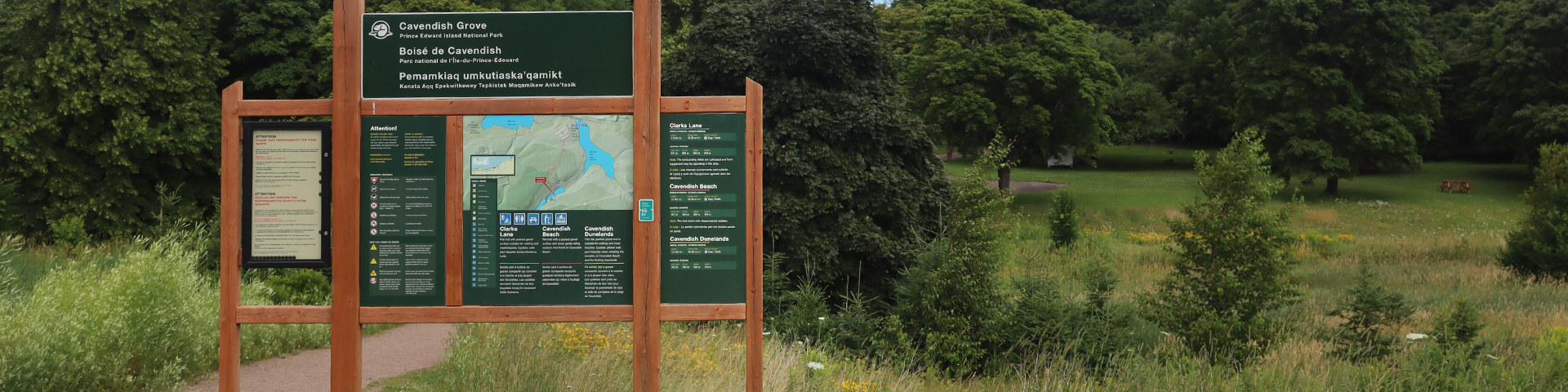 Cavendish Grove, Prince Edward Island National Park
