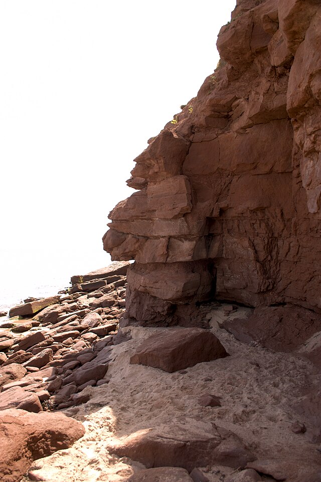 Basin Head Provincial Park - Image 3