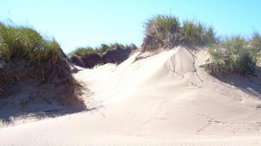 Public Beach Miscou / Plage publique Miscou