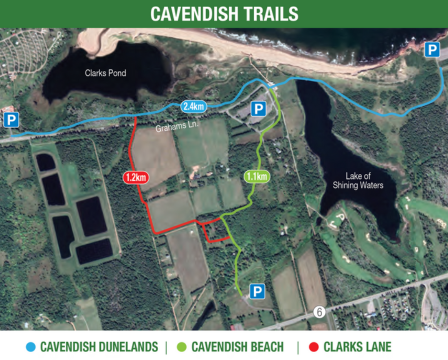 Cavendish Dunelands Trail, Prince Edward Island National Park