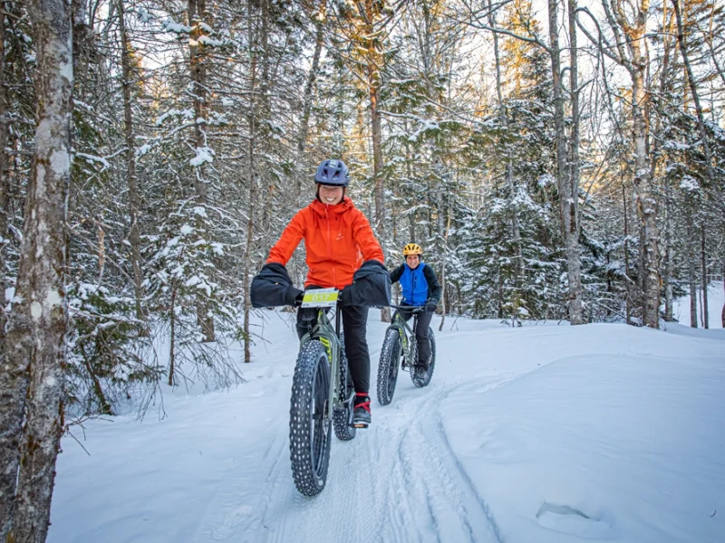 Bonshaw Hills Provincial Park