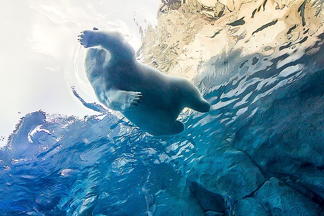 Assiniboine Park & Zoo - Image 2