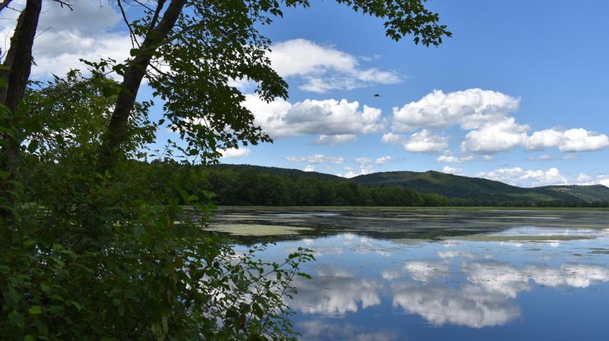 Dutch Point Trails - Image 1