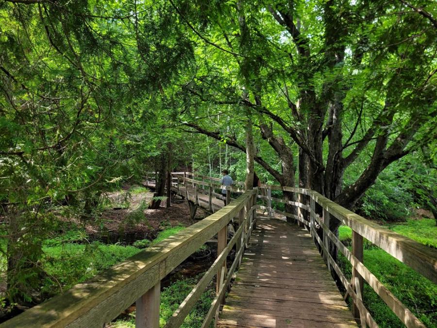 Dutch Point Trails - Image 3