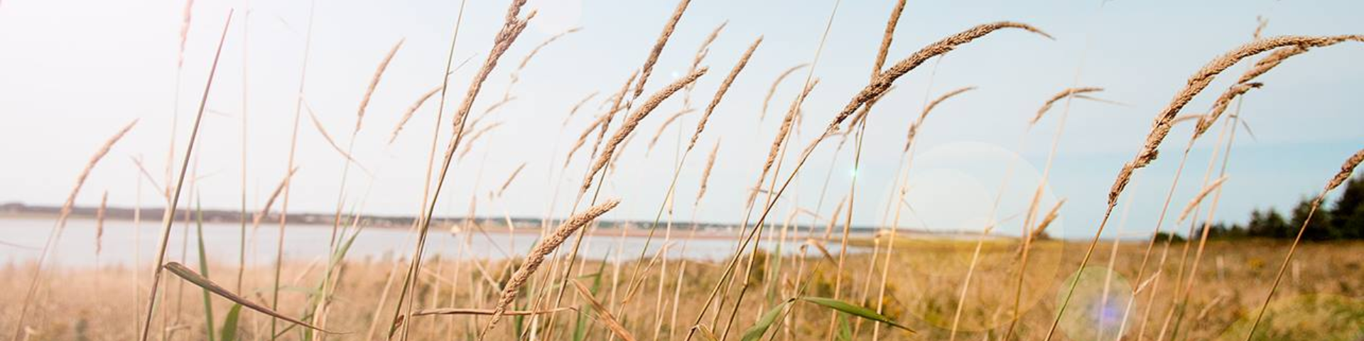 Robinsons Island Trail System, Prince Edward Island National Park