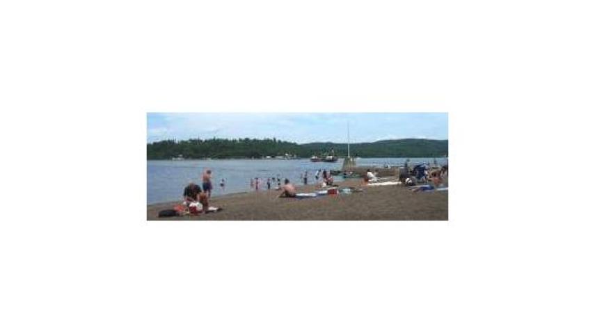 Westfield Beach