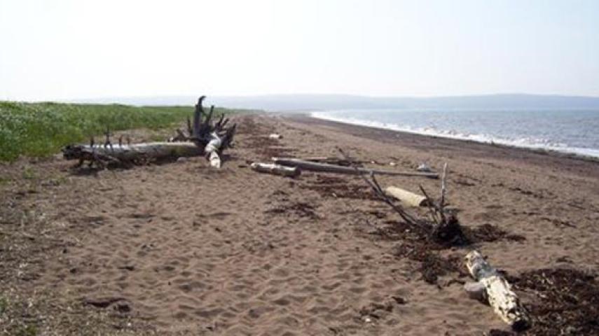 Waterside Beach - UNESCO Fundy Biosphere Reserve