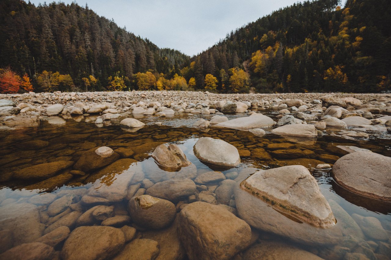 Fundy National Park Of Canada - Image 2