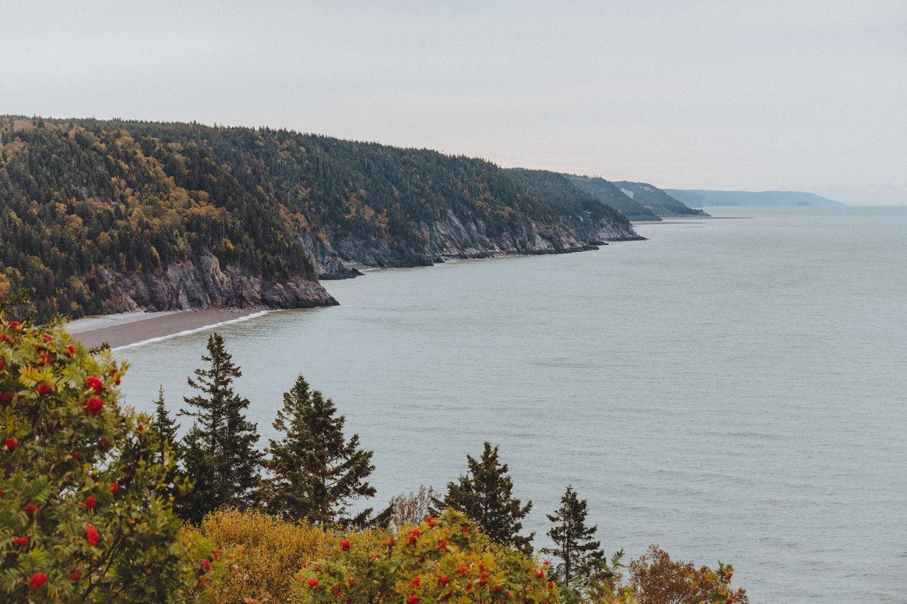 Fundy National Park Of Canada - Image 3