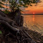 Wilson's Point - Image 2
