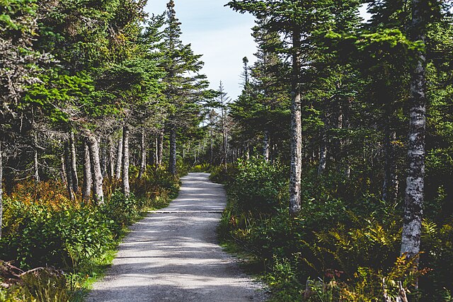 Cabot Trail (Cape Breton Highlands National Park) - Image 2