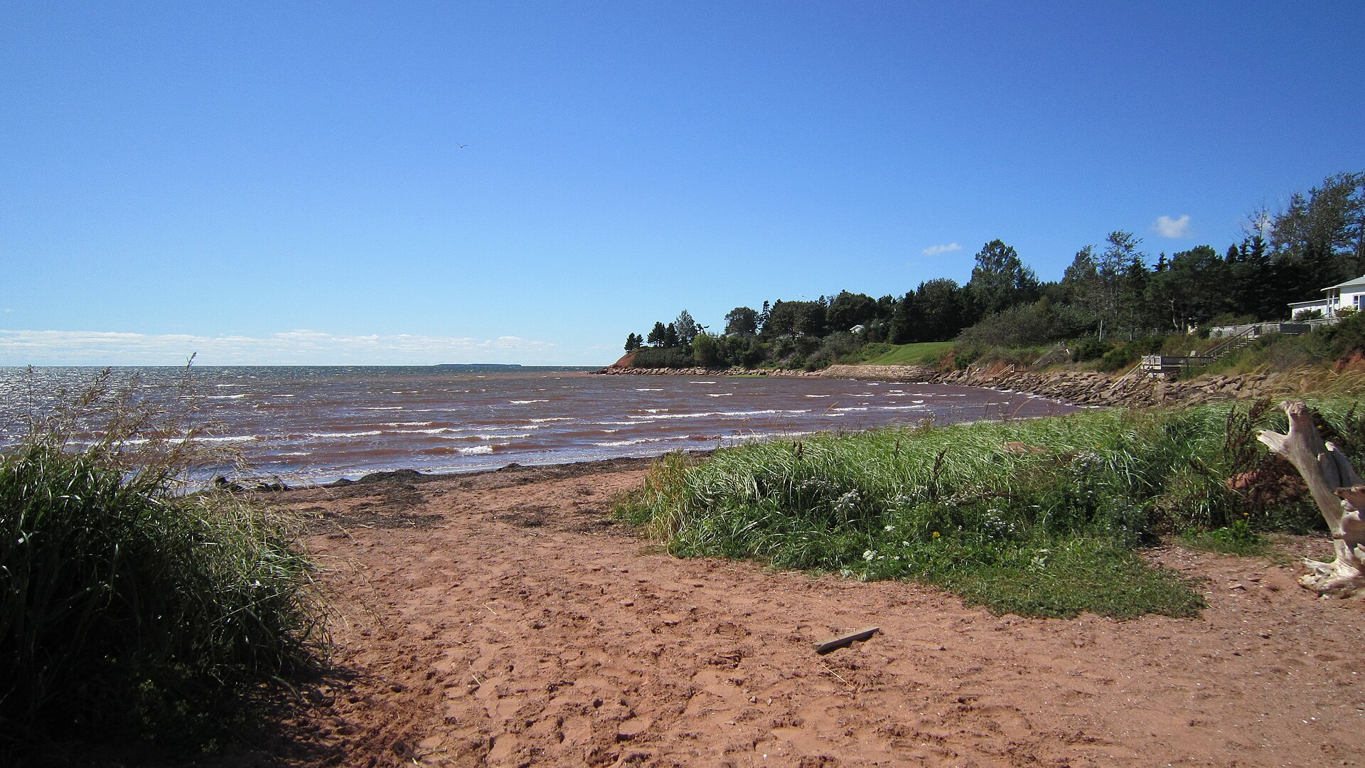 Bellevue Cove - Image 2