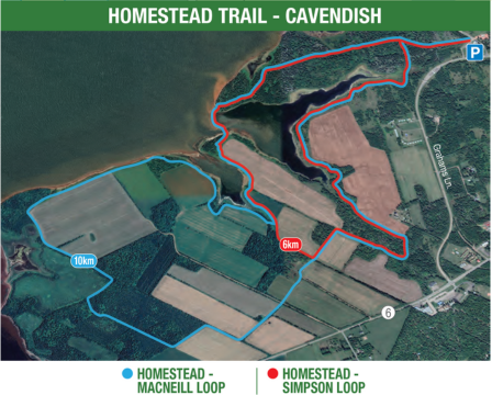 Homestead Trail, Prince Edward Island National Park