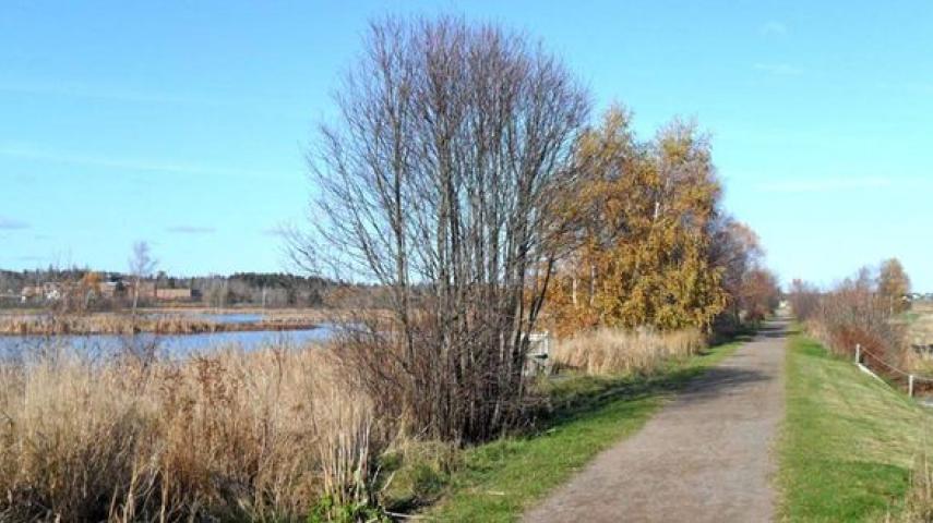 Tantramar Outdoor Club Trailhead