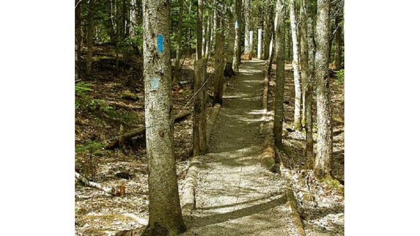 Dobson Hiking Trail