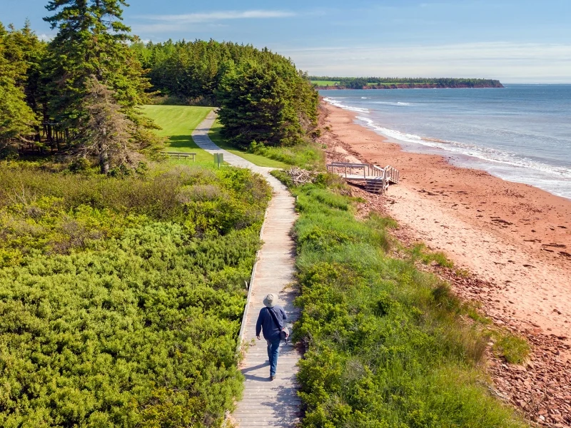 Sally's Beach Provincial Day Park