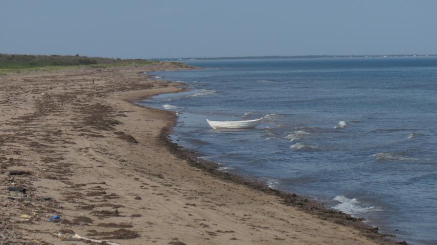 Plage de Pigeon Hill