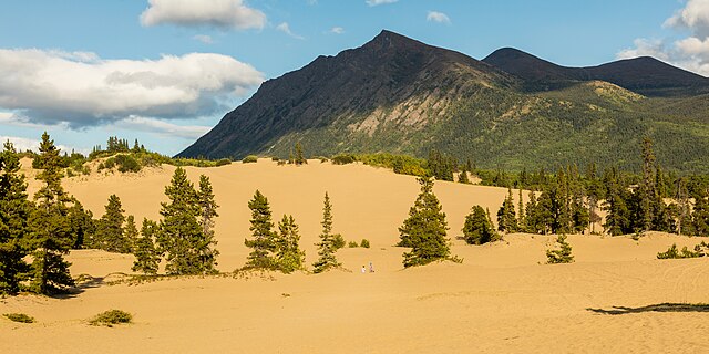 Carcross Desert