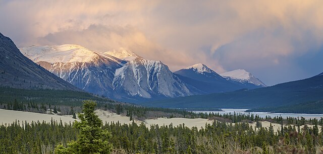 Carcross Desert - Image 2