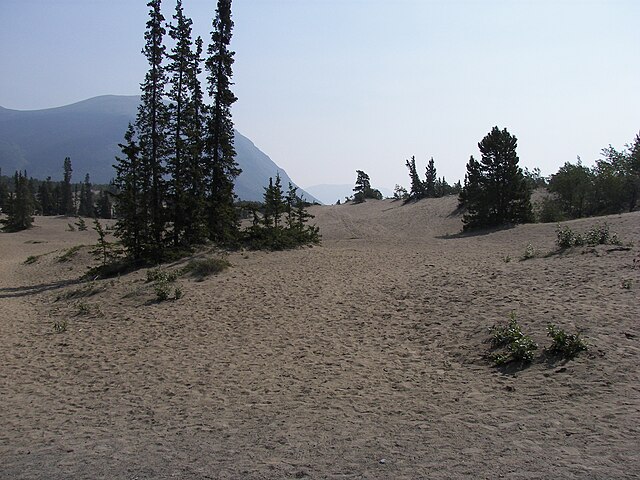Carcross Desert - Image 3