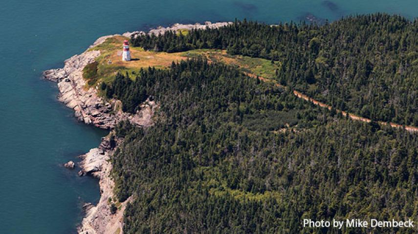 Musquash Estuary Lookout