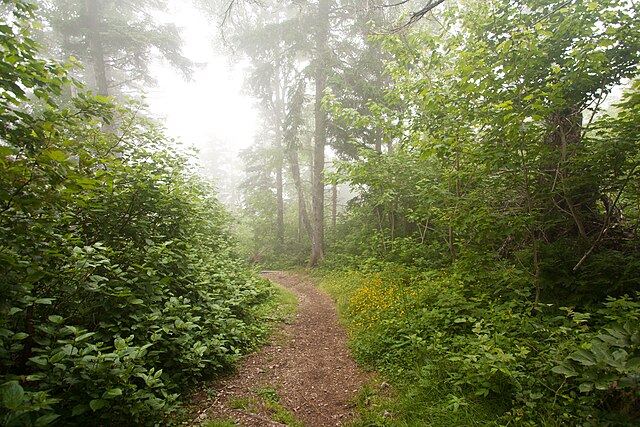 Forillon National Park - Image 3
