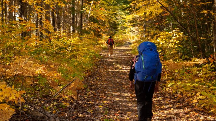 Nepisiguit Mi'gmaq Trail