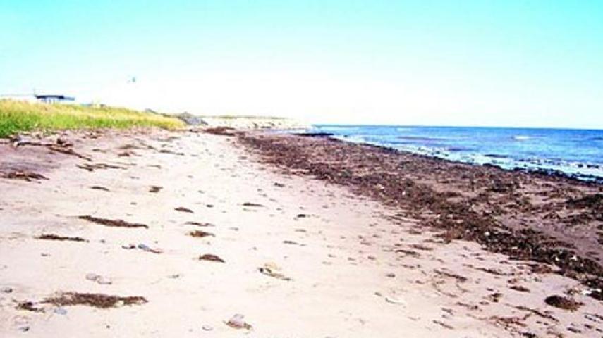 Chemin Wilson Point