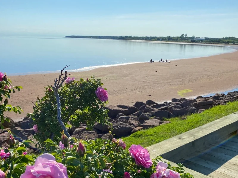 Green's Shore Park