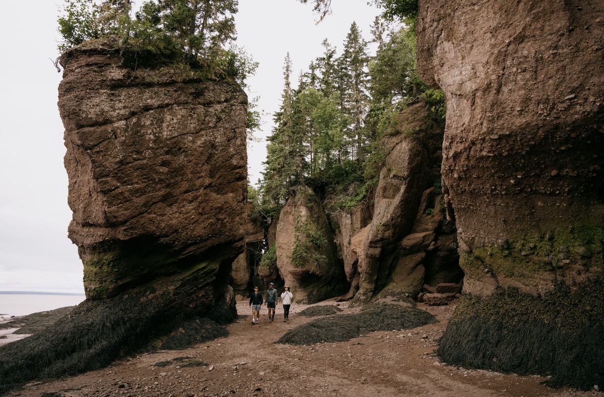 Hopewell Rocks Provincial Park logo