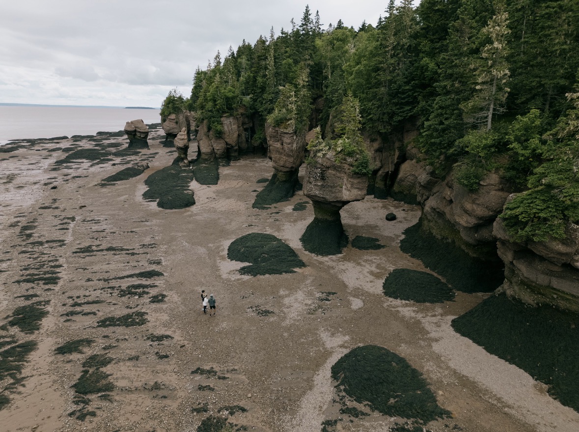 Hopewell Rocks Provincial Park - Image 2