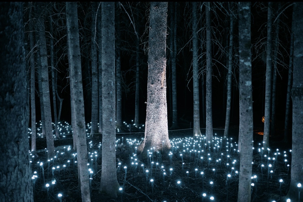 Akadi Lumina - Image 1