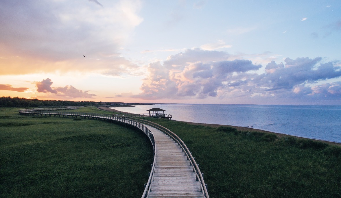 Bouctouche Dunes/Sentiers de Bouctouche - Image 3